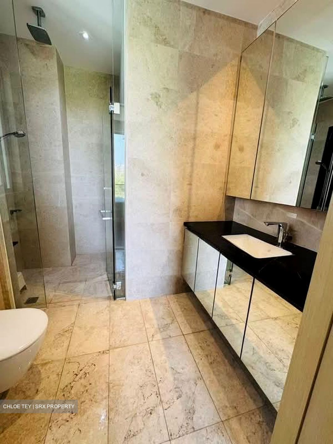 The Boutiq (D9), Apartment #542609941
